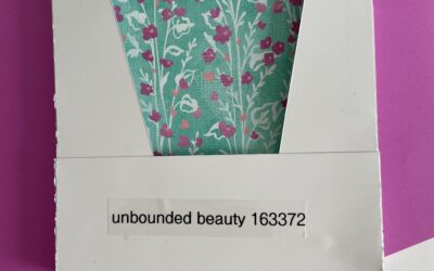 Storing 6″ x 6″ Designers Series Paper-My New Storage Solution