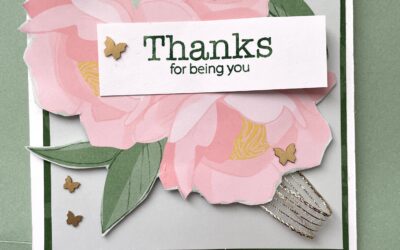 Butterfly Garden Kit Together: Kindness in Full Bloom