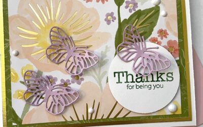 Butterfly Garden Kit  Together- Thank You Alternative #2